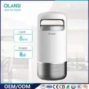 Olansi-Factory-Ionic-Car-Air